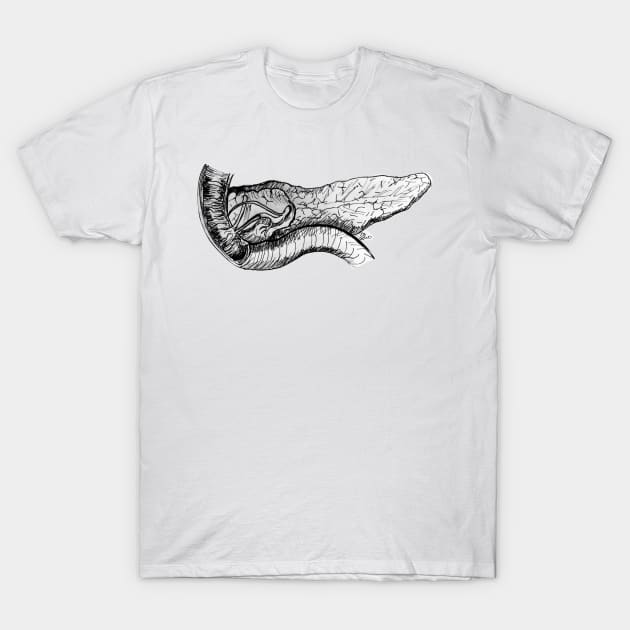 Pancreas and Duodenum Pen and Ink Sketch T-Shirt by emadamsinc